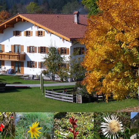 Ferienwohnungen Hennenmuehle Бад-Хинделанг Экстерьер фото