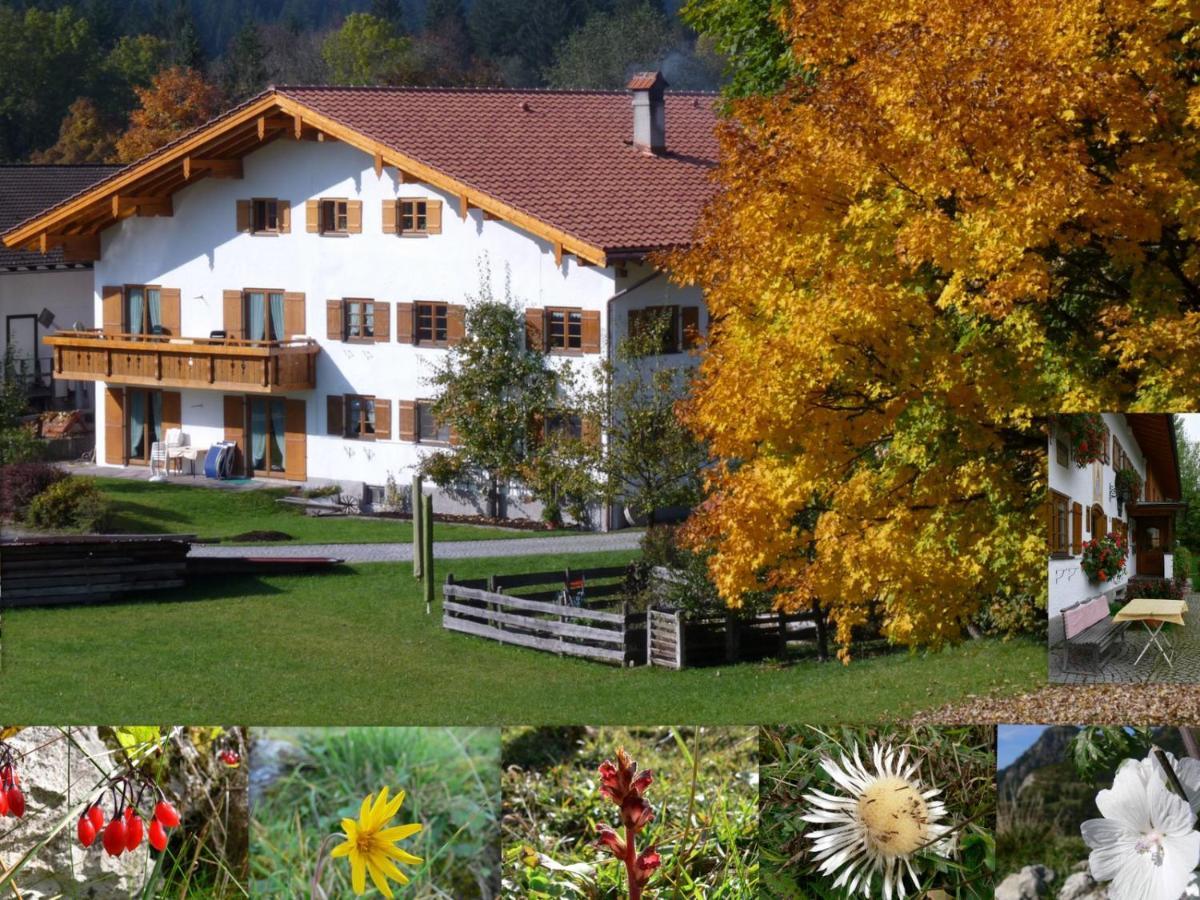 Ferienwohnungen Hennenmuehle Бад-Хинделанг Экстерьер фото